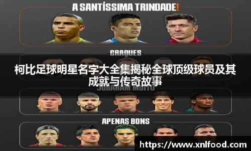 QY千亿球友会，QY球友会官网